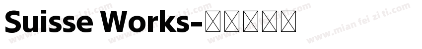 Suisse Works字体转换
